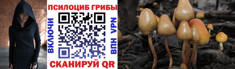 Псилоцибиновые грибы ЛСД  Дальнегорск 