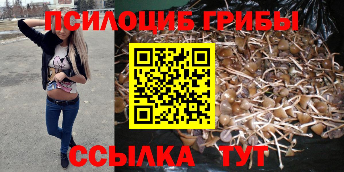 Галлюциногенные грибы мицелий  Вход с VPN  Дальнегорск 
