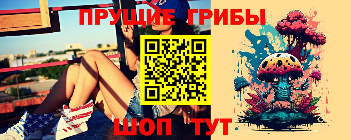 Псилоцибиновые грибы прущие грибы Дальнегорск